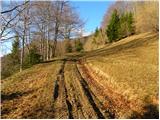 Podmeja - Črni vrh (Čemšeniška planina)